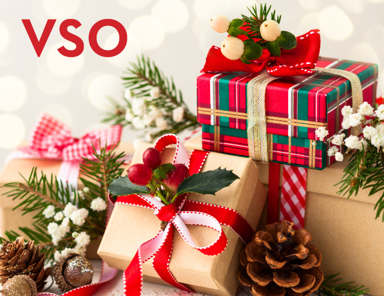 Holidays with the VSO